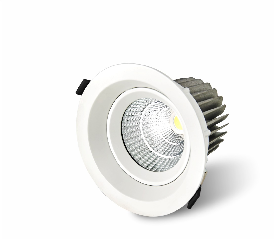 ZR-S1005A-12W Recessed Tilt Downlight